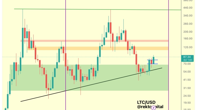 Litecoin ‘head fake’ rally? LTC price technicals hint at 65% crash