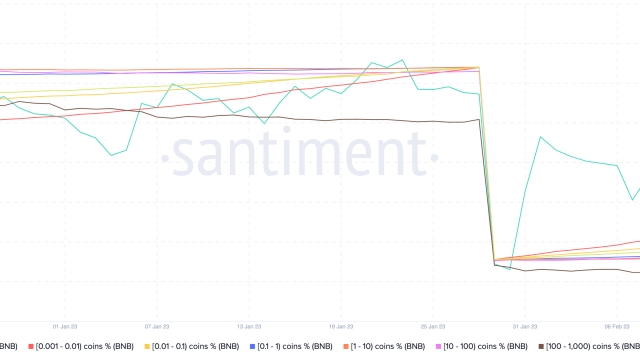 3 reasons why Binance’s BNB token risks sliding further by March