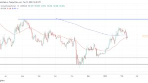 ApeCoin leads in NFT and metaverse market share, but are APE’s hefty staking rewards sustainable?