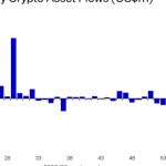 Bitcoin dominates as primary focus for digital asset investors: Report