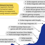 Bitcoin Lightning Network growth is organic, coming from real-world adoption