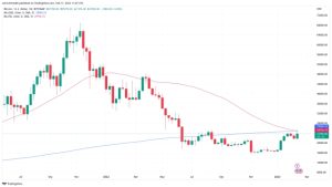 Bitcoin metric prints ‘mother of all BTC bullish signals’ for 4th time ever
