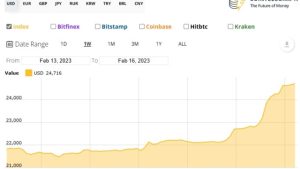 Bitcoin price hits $25K in new 2023 high