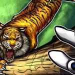 Crypto ads and sponsors banned from women’s cricket league in India