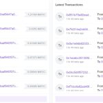 Polygonscan went down, causing unwarranted concern of blockchain outage