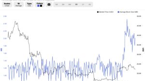 Bitcoin thought leaders weigh the pros and cons of Ordinals