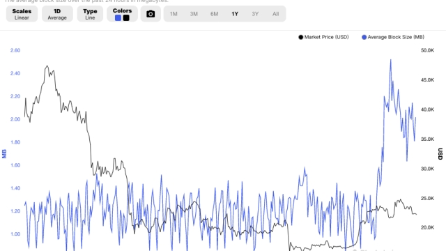 Bitcoin thought leaders weigh the pros and cons of Ordinals