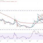 Price analysis 3/22: BTC, ETH, BNB, XRP, ADA, DOGE, MATIC, SOL, DOT, SHIB