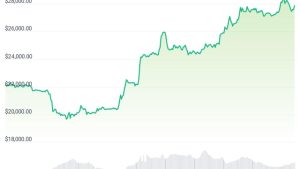 Rattled crypto industry could emerge stronger after USDC depeg