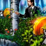 Regulation and risk: Factors driving demand for a euro-backed stablecoin