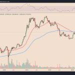 What is JOMO in crypto trading?