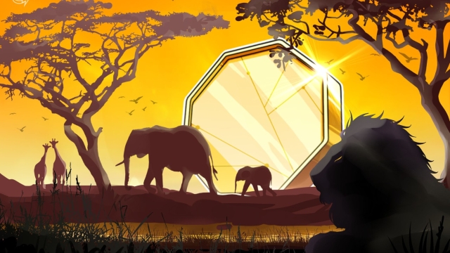 Crypto exchange Roqqu receives South African approval to expand operations