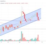 Dogecoin price limps below a key support after Dogeday turns into a sell-the-news event