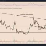 Will Shiba Inu tail Dogecoin’s price rally?
