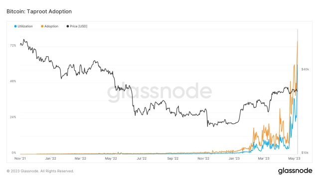 ‘Bitcoin is not under attack:’ BTC maxis allay fears of a DoS offensive