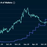 Bitcoin played second fiddle as KAVA, XRP, TRX, RPL and RNDR led the crypto market in May