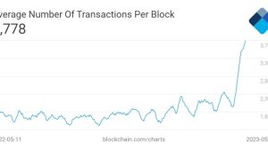 Bitcoin ‘under siege’ by BRC-20 coins as fees soar, claims analyst