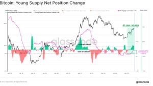 BTC price may need a $24.4K dip as Bitcoin speculators stay in profit