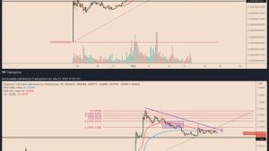 What is Pepecoin, and can it flip memecoins Dogecoin and Shiba Inu?