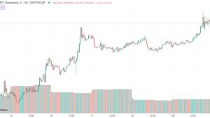 Bitcoin reaches 50% market dominance for first time in 2 years