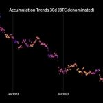 Bitcoin volatility takes a break as $31K BTC price yearly highs loom