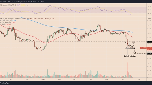 Why is Cardano price down today?