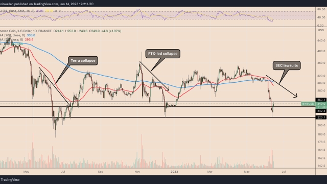 Why is the BNB price up today?