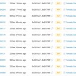 AnubisDAO’s rug-pulled 13.5K ETH washes away on Tornado Cash