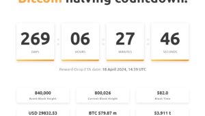 Bitcoin block 800,000 mined — What’s next?
