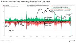 Bitcoin whale exchange inflow share hits 1-year high — over 40%