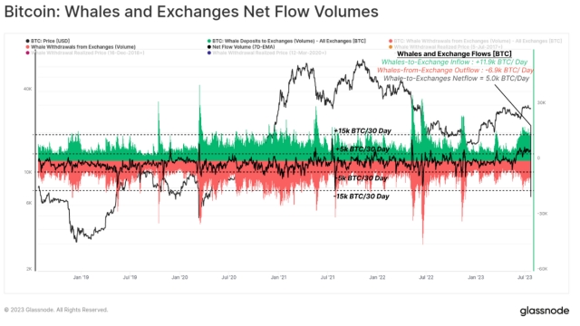 Bitcoin whale exchange inflow share hits 1-year high — over 40%