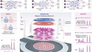 New research shows how brain-like computers could revolutionize blockchain and AI