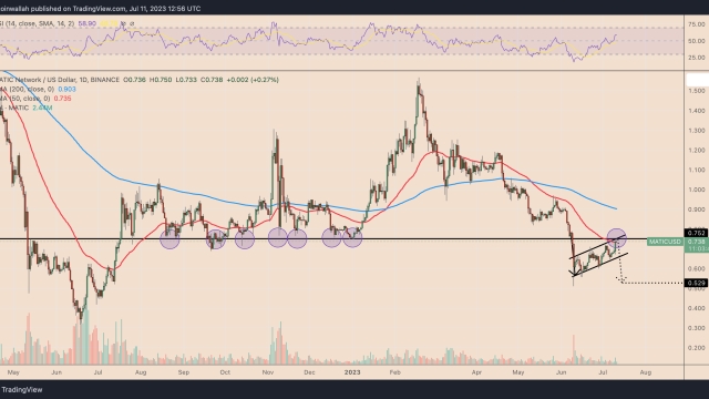 Why is Polygon (MATIC) price up today?