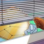 Base’s largest DEX LeetSwap halts trading amid exploit concerns