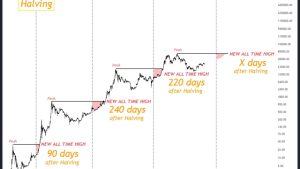 BTC price won’t hit $100K before 2024 halving — Bitcoin investment exec