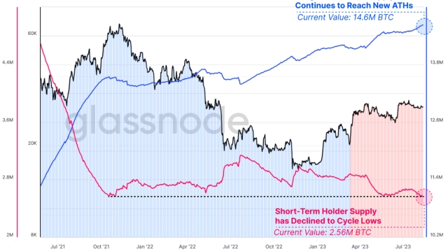 Is Bitcoin’s record-low volatility and decline in short-term holders a bull market signal?