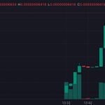 PayPal stablecoin launch sparks wave of fake PYUSD tokens