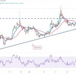 SHIB, UNI, OKB and HBAR flash bullish signs as Bitcoin volatility hits record low