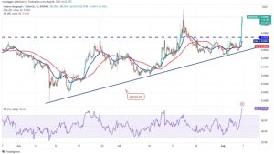 SHIB, UNI, OKB and HBAR flash bullish signs as Bitcoin volatility hits record low