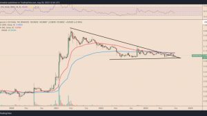 Why is Dogecoin price up today?