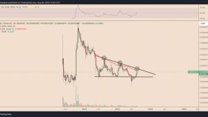 Why is Shiba Inu price up today?