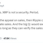 ‘XRP is not a security. Period’ — Crypto lawyers on Ripple’s case amid SEC appeal