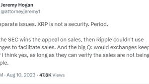 ‘XRP is not a security. Period’ — Crypto lawyers on Ripple’s case amid SEC appeal