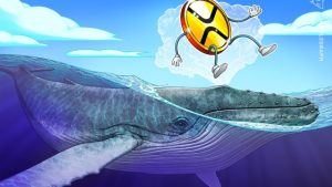 XRP whale moves 29 million tokens to Bitstamp amid price slide