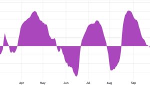 Bitcoin price holds steady as S&P 500 plunges to 110-day low