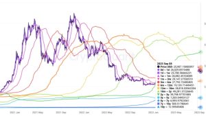 Bitcoin UTXOs echoing March 2020 ‘black swan’ crash — New research