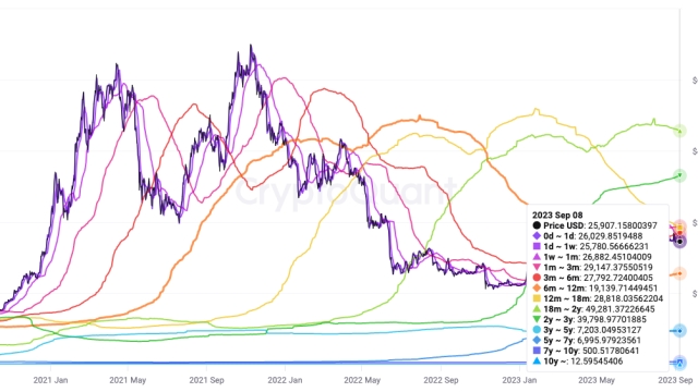 Bitcoin UTXOs echoing March 2020 ‘black swan’ crash — New research