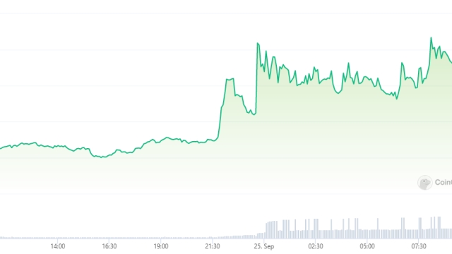 Crypto exchange Upbit stems fake APT token flood, resumes services