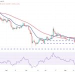 Price analysis 9/8: BTC, ETH, BNB, XRP, ADA, DOGE, SOL, TON, DOT, MATIC