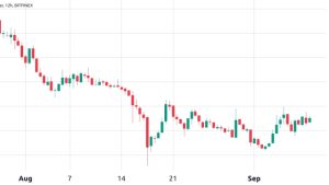 Why is Stellar (XLM) price up this week?